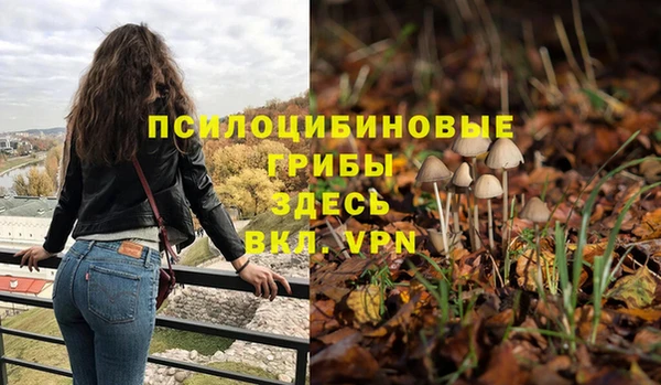 ешки Армянск