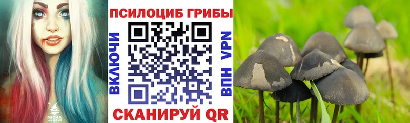 MEGA как войти Бавлы Галлюциногенные грибы мухоморы
